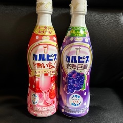 ❗️カルピス原液 各種