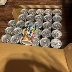 野菜ジュース　防災　長期保管用　29本　カゴメ