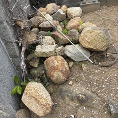 庭石