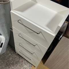 棚②