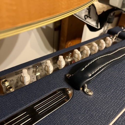 Laney Lionheart l20t-112 ギターアンプ