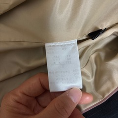 ストライプスーツ レディース
の画像