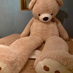 クマのぬいぐるみの画像