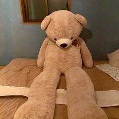 クマのぬいぐるみの画像