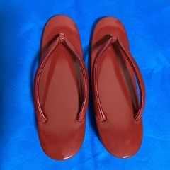 【無料】色無地　お揃い　草履