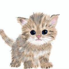 友達欲しいのです♥