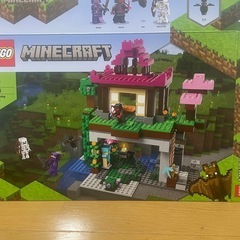 レゴ(LEGO)  マインクラフト　訓練場21183