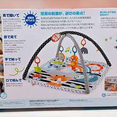 フィッシャープライス 感覚を育てよう! ラッコのわくわくミュージカルジムの画像