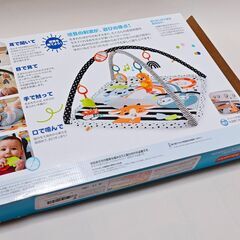 フィッシャープライス 感覚を育てよう! ラッコのわくわくミュージカルジムの画像