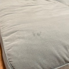 IKEA グローンリード　※早急の画像