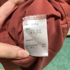 大きいサイズLL　Tシャツの画像