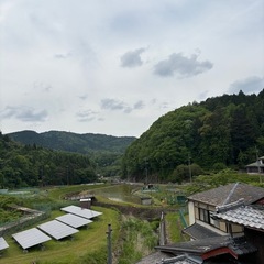 草刈り・庭のお手入れ、おまかせください！