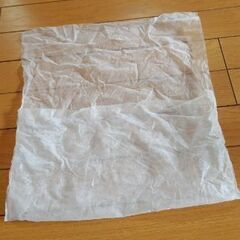 IGNIO　5本指サンダルの画像