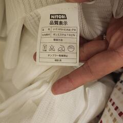 【お譲り先決定しました】沢山のお問い合わせありがとうございました。の画像