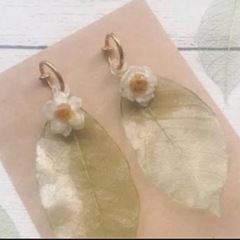 花かんざしの画像