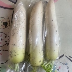 大根　3本