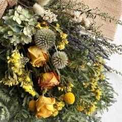 バラ　薔薇　ローズの画像
