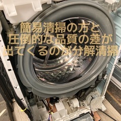 マンションサイズ☆左開きの静かなドラム式洗濯機CUBLE匂いまでスッキリ温水洗浄の画像