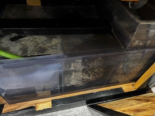(生体つき)1500水槽セット