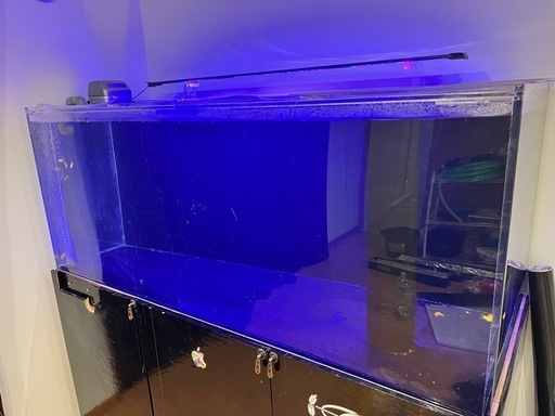 (生体つき)1500水槽セット