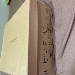ALMA DEVA ウエスタンブーツの画像