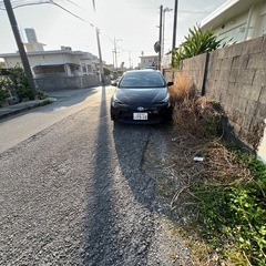 トヨタプリウス50前期の画像