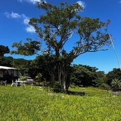 キャンプor BBQ🏕️🍖スピ系ゼロ磁場パワースポット - 友達