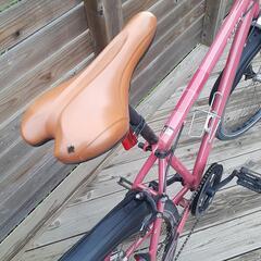 Trekパーツ使用　マウンテンバイク型カスタム自転車 26インチ シングル8速の画像