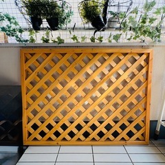 【引き取り限定】使用1年未満　ラティス5枚　180×90×4枚、120×90×1枚の画像