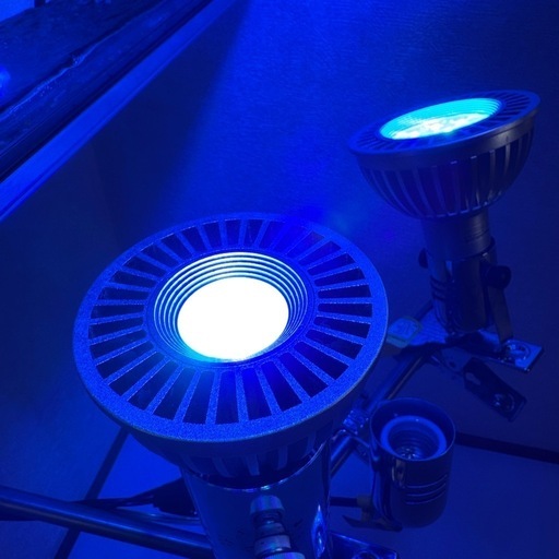 GrassyLeDioRX072e SS LED照明