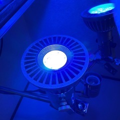 GrassyLeDioRX072e SS LED照明の画像