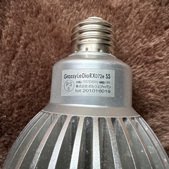 GrassyLeDioRX072e SS LED照明
