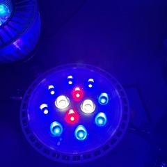 ◆株式会社クリスタルアクア 【 クリスタルエリート20        UVレッド ブルー  マルチスペクトル】 CE20CV-UVの画像