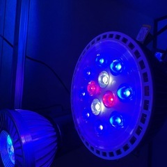 ◆株式会社クリスタルアクア 【 クリスタルエリート20        UVレッド ブルー  マルチスペクトル】 CE20CV-UVの画像