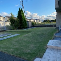 木の剪定、伐採お任せください✨ - 便利屋