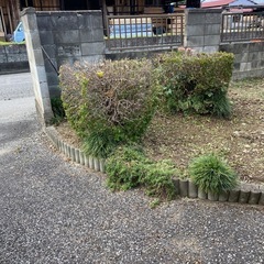 木の剪定、伐採お任せください✨ − 栃木県
