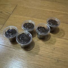 パラレリピペドゥスオオクワガタ幼虫 五匹