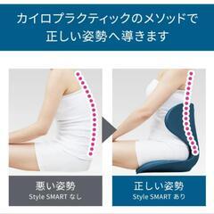 style smart座椅子 クッションの画像