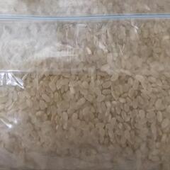 令和6年産 北海道産 ゆめぴりか 玄米 2.8kg 