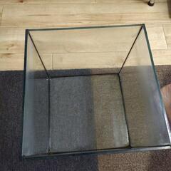 ガラス水槽の画像