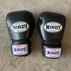 パンチンググローブ✨WINDY🥋