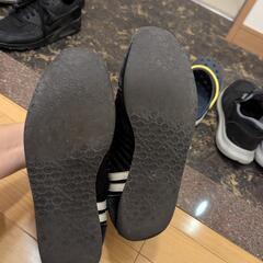 PATRICK パミールの画像