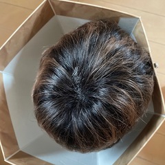ヘアウィッグの画像