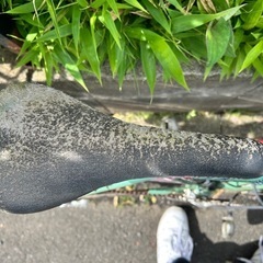 ジャンク　ビアンキ ロードバイクの画像