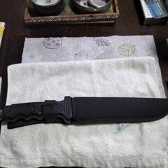 アウトドアに！今日引き取り限定