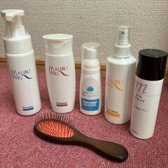 白髪隠しウィッグ＋ケア用品7点セット／美品の画像