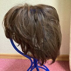 白髪隠しウィッグ＋ケア用品7点セット／美品の画像