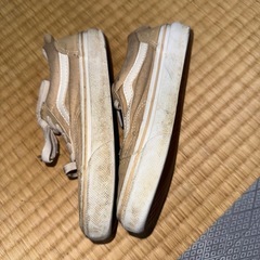 vans靴の画像