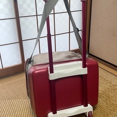 ロゴス　ソフトクーラーの画像