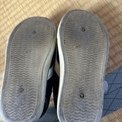 Belle ambesの画像